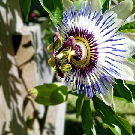 بيت للعطل Maison Independante Climatisee A Deux Pas Des Plages, Confort Et Detente Assures